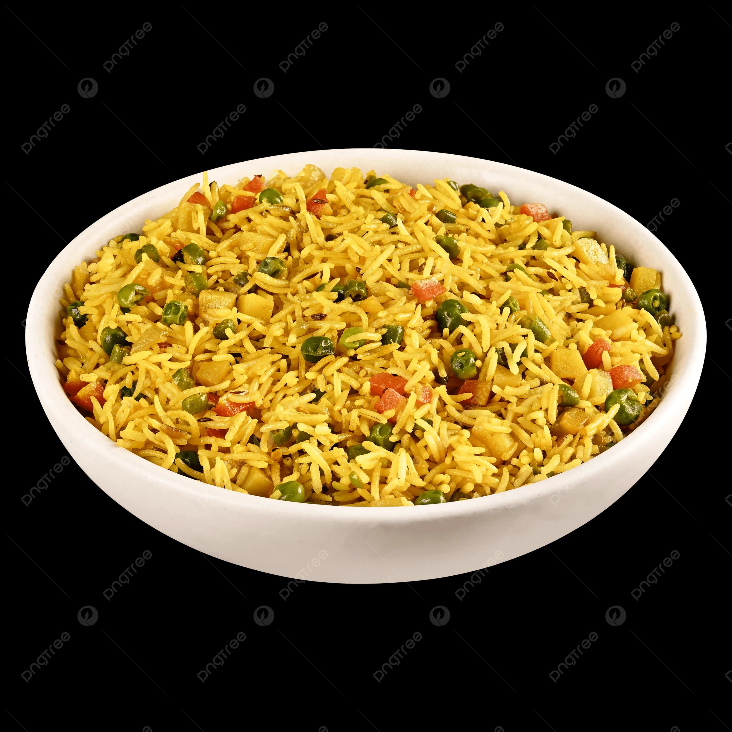 MASALA FRIED RICE (2P)