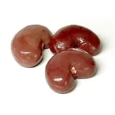 GURDA (KIDNEY)