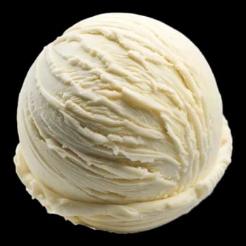 VANILLA (ice cream)
